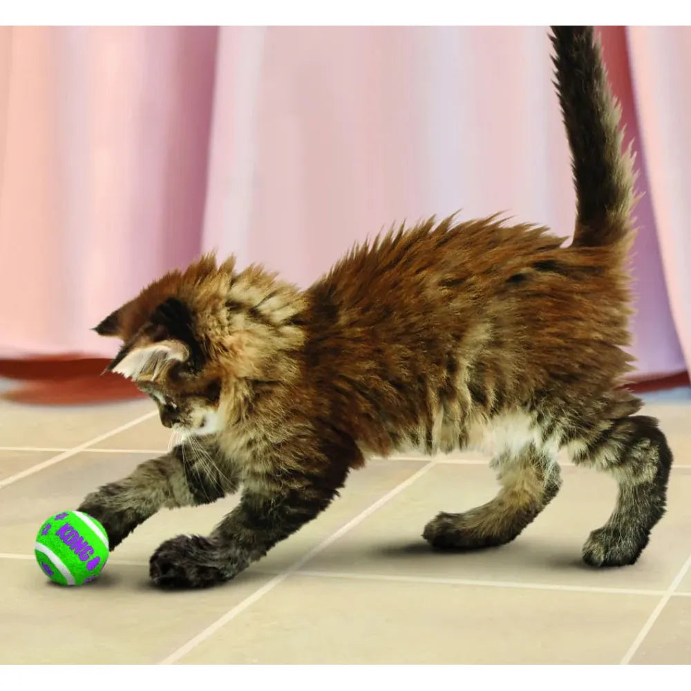 KONG Cat Toys TENNIS BALLS WITH BELLS 3PK