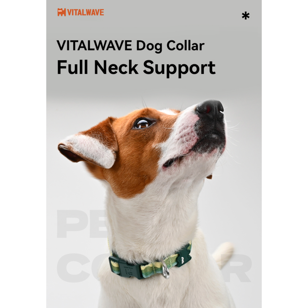 VITALWAVE Gradient Peaks Dog Collar