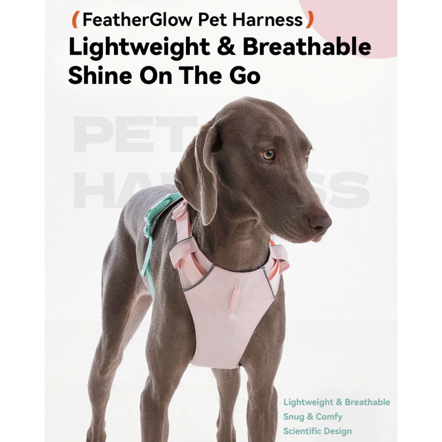 VITALWAVE FeatherGlow Dog Harness
