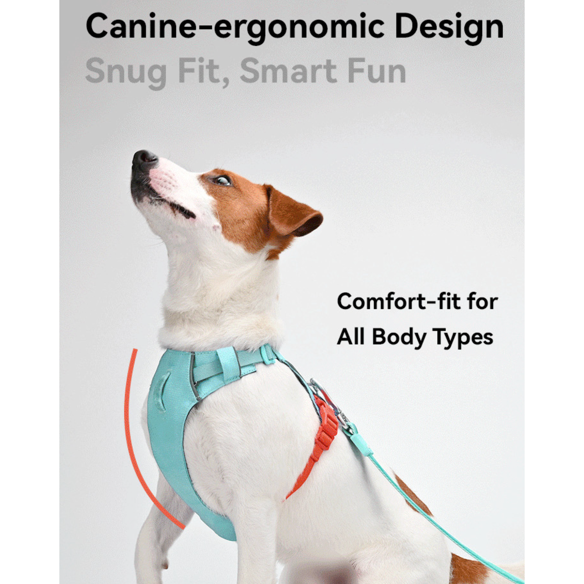 VITALWAVE FeatherGlow Dog Harness