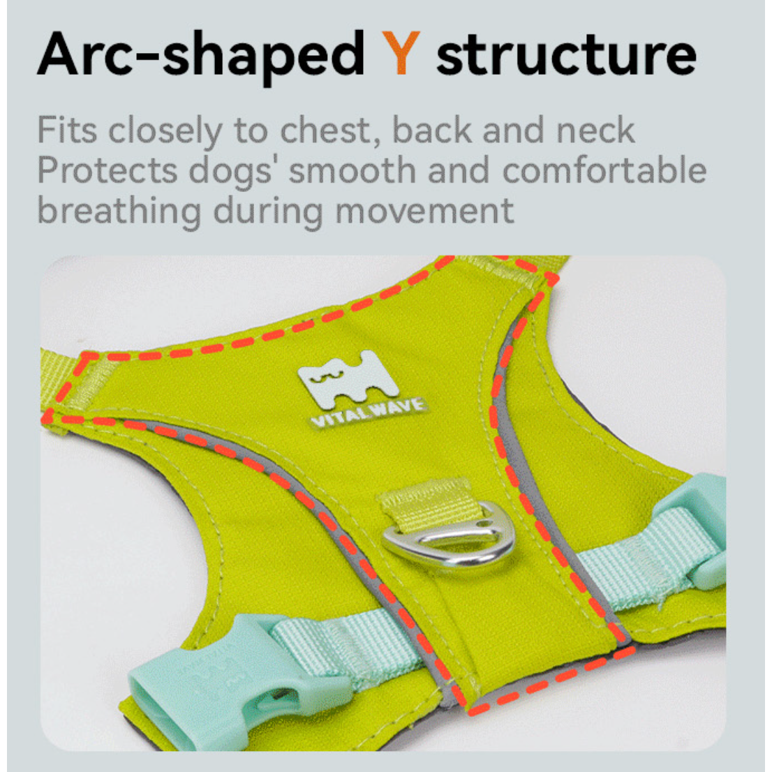VITALWAVE FeatherGlow Dog Harness