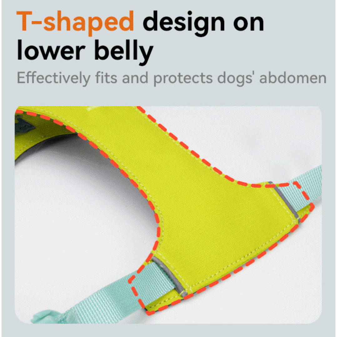 VITALWAVE FeatherGlow Dog Harness