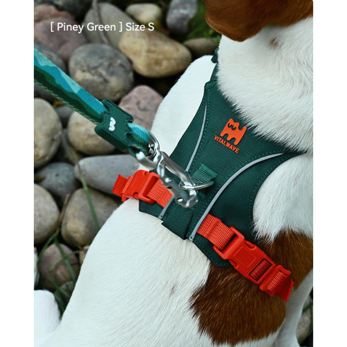 VITALWAVE FeatherGlow Dog Harness