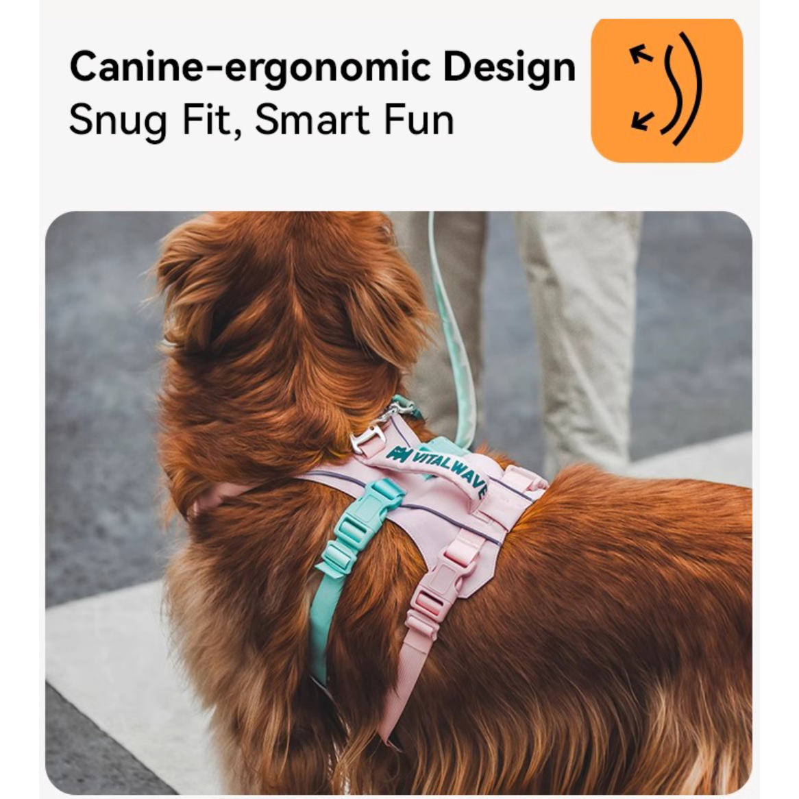 VITALWAVE FeatherGrip Dog Harness