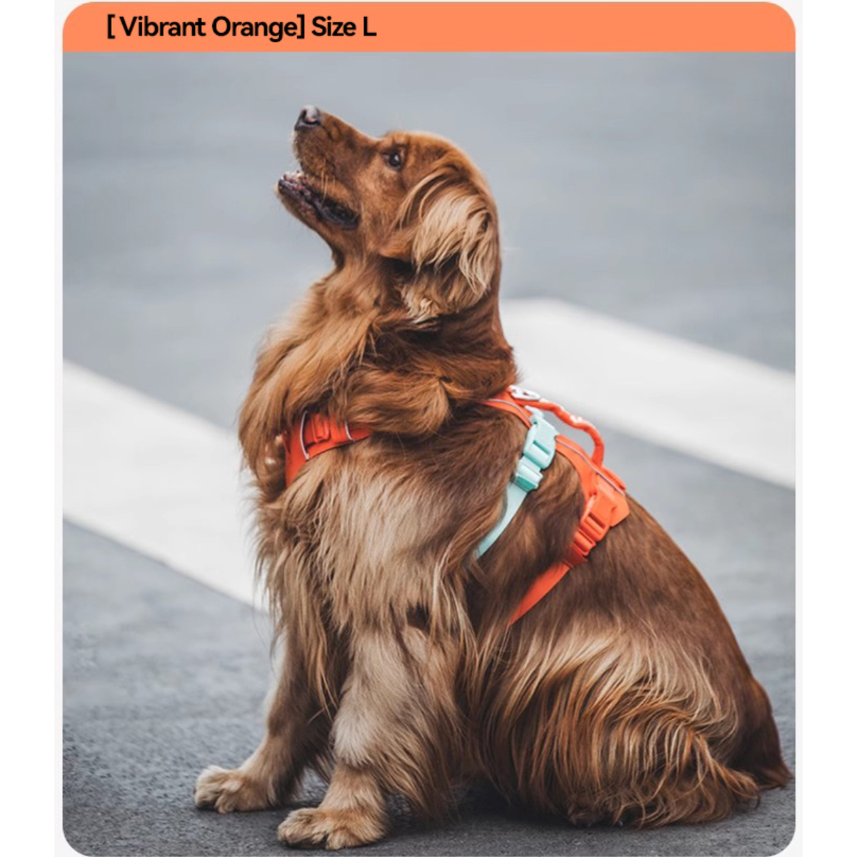 VITALWAVE FeatherGrip Dog Harness