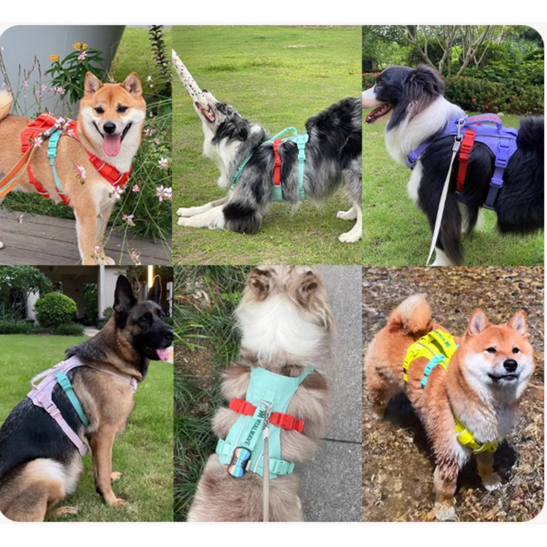 VITALWAVE FeatherGrip Dog Harness