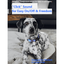 VITALWAVE Pollocksaic Magnetic Snap Dog Collar
