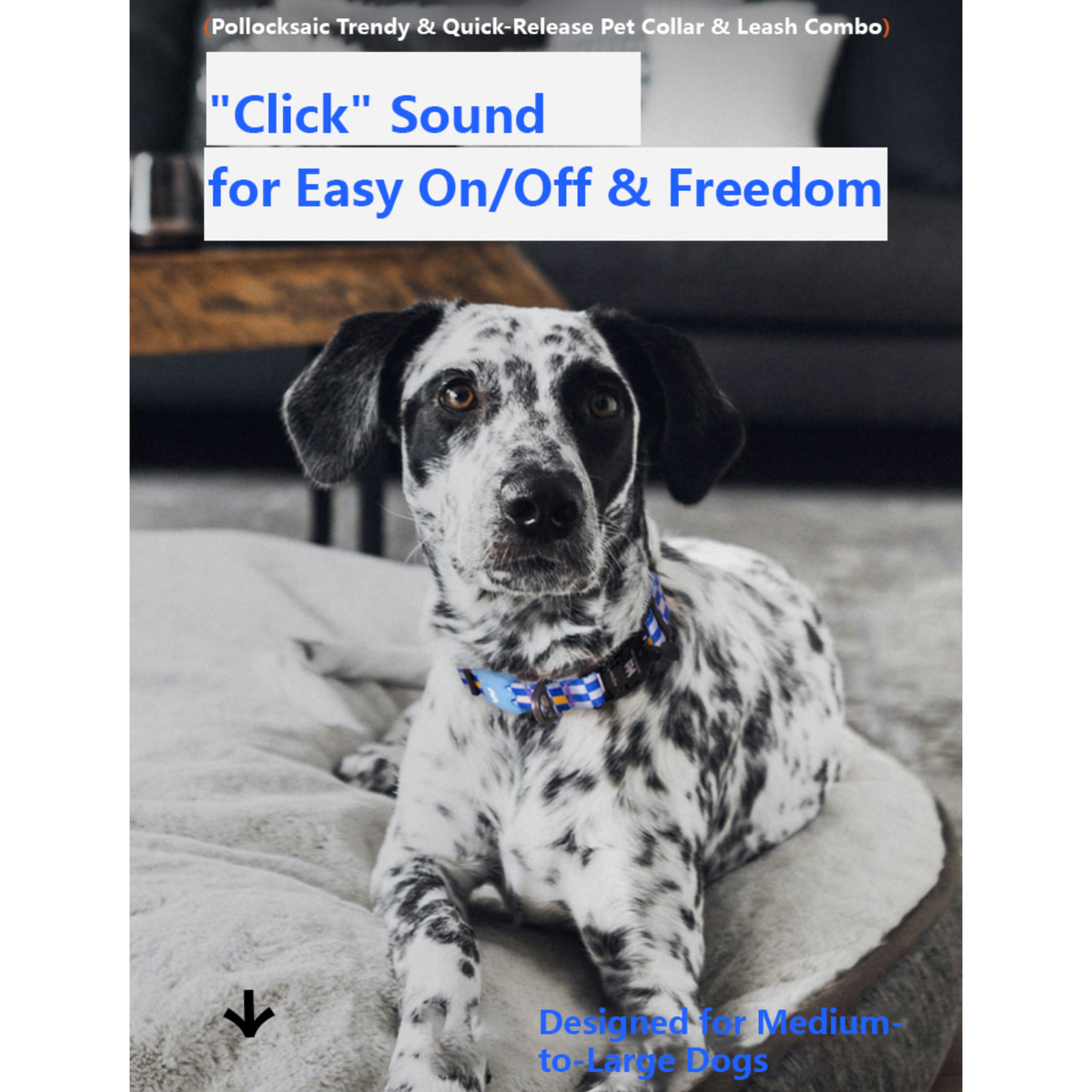 VITALWAVE Pollocksaic Magnetic Snap Dog Collar