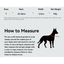 VITALWAVE Pollocksaic Magnetic Snap Dog Collar