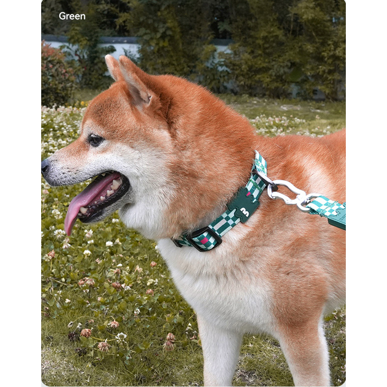 VITALWAVE Pollocksaic Magnetic Snap Dog Collar
