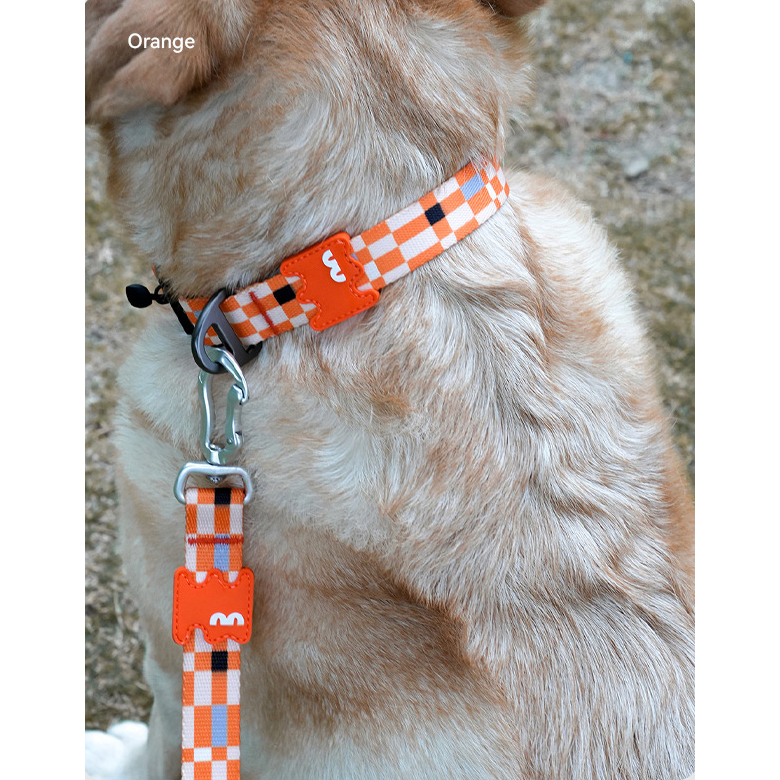 VITALWAVE Pollocksaic Magnetic Snap Dog Collar