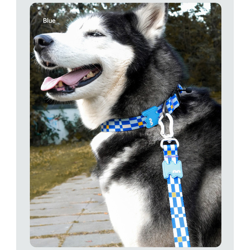 VITALWAVE Pollocksaic Magnetic Snap Dog Collar