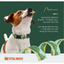 VITALWAVE Gradient Peaks Dog Collar