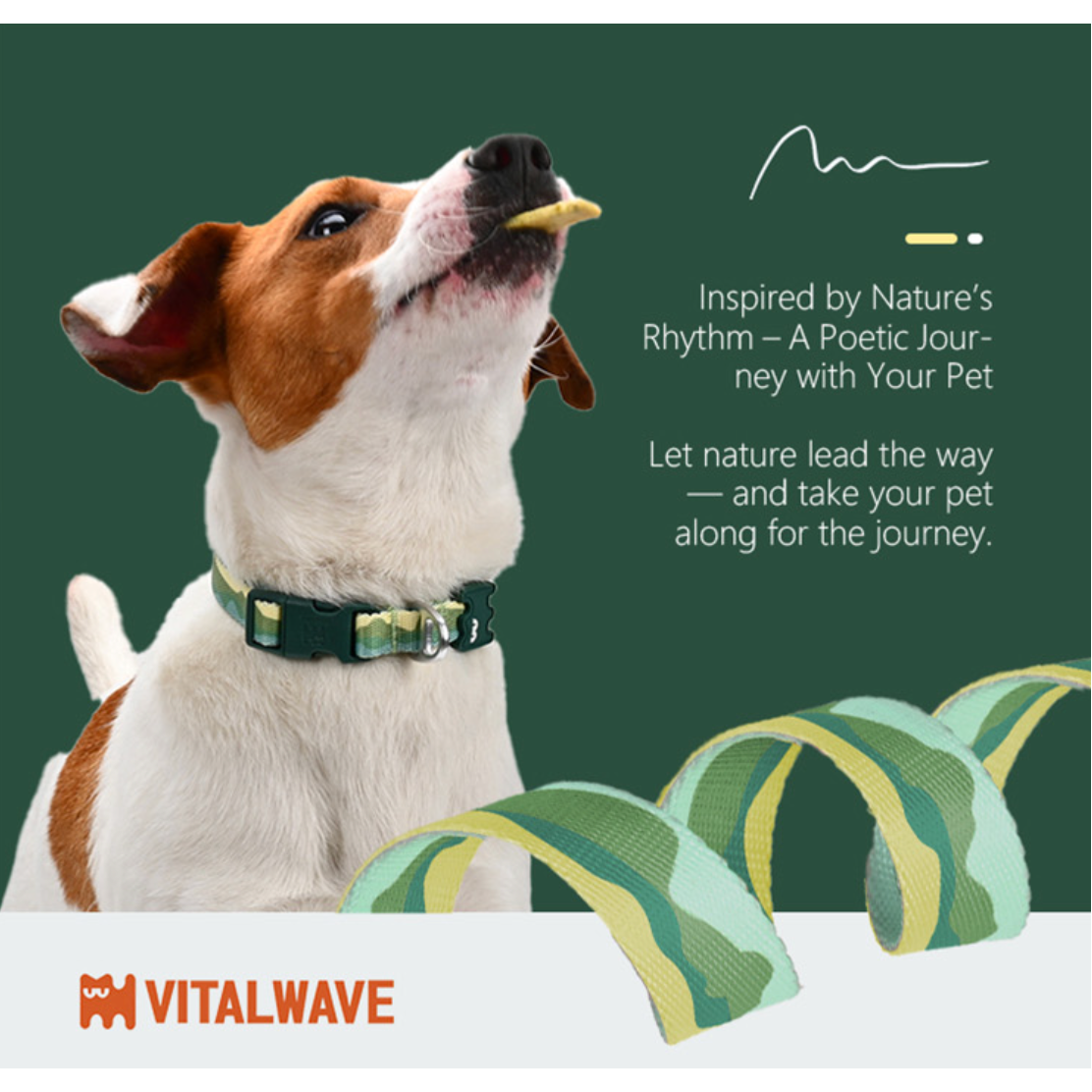 VITALWAVE Gradient Peaks Dog Collar