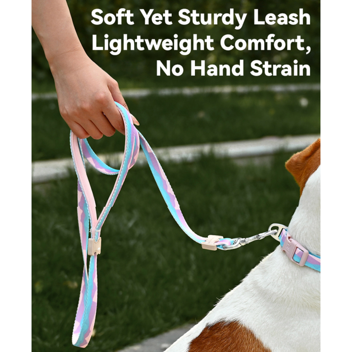 VITALWAVE Gradient Peaks Dog Leash