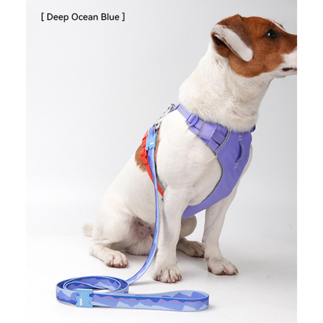 VITALWAVE Gradient Peaks Dog Leash