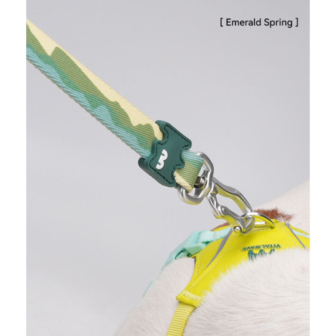 VITALWAVE Gradient Peaks Dog Leash