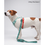 VITALWAVE Gradient Peaks Dog Leash
