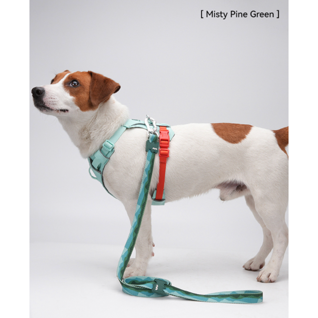 VITALWAVE Gradient Peaks Dog Leash