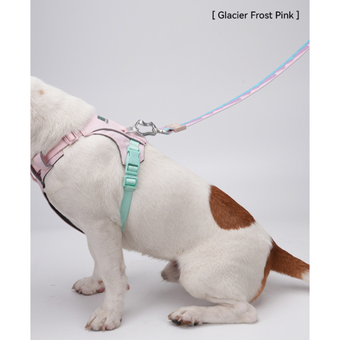 VITALWAVE Gradient Peaks Dog Leash