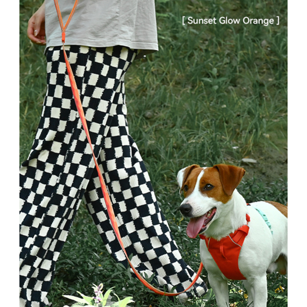 VITALWAVE Gradient Peaks Dog Leash