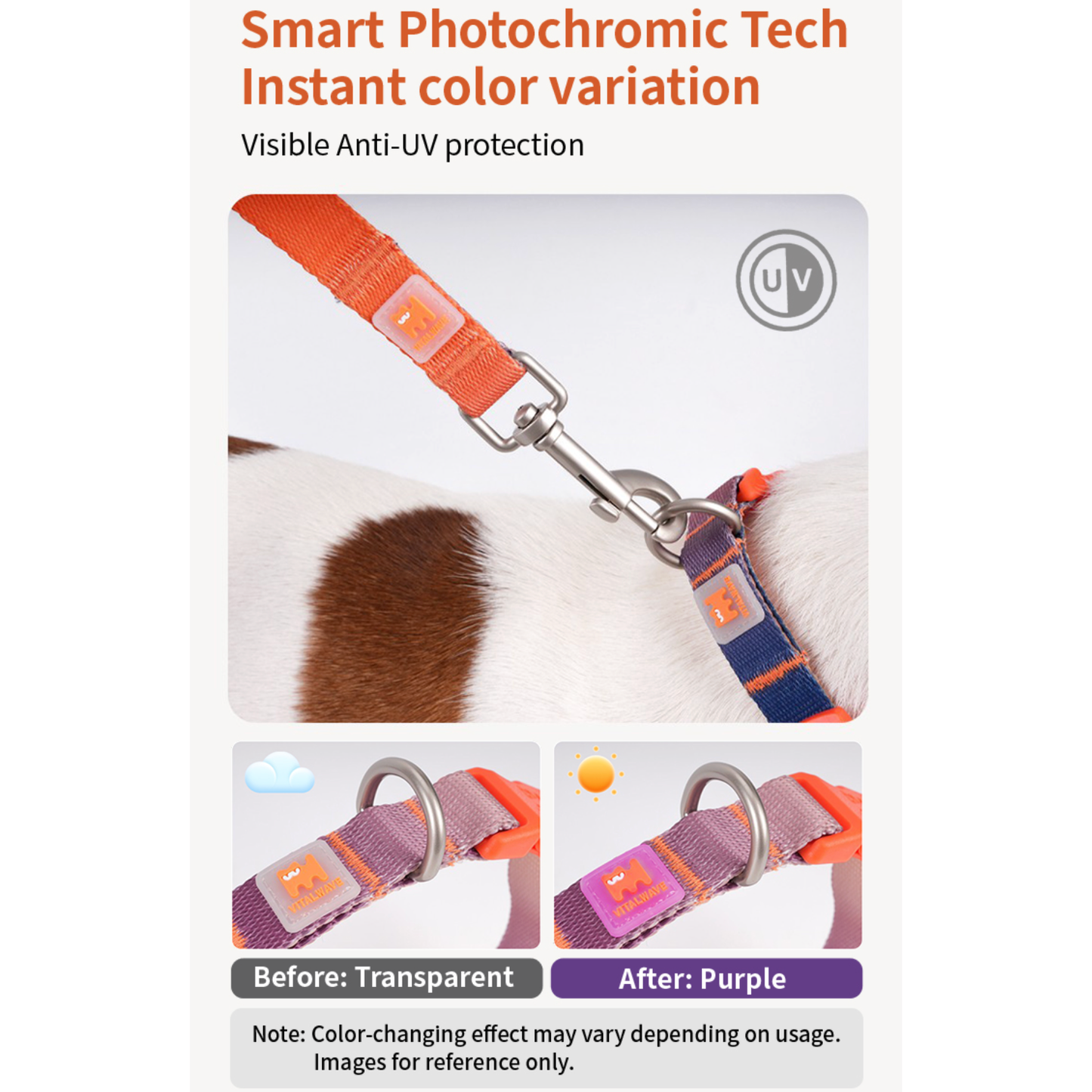 VITALWAVE Dreamfade Dog Collar & Leash Set