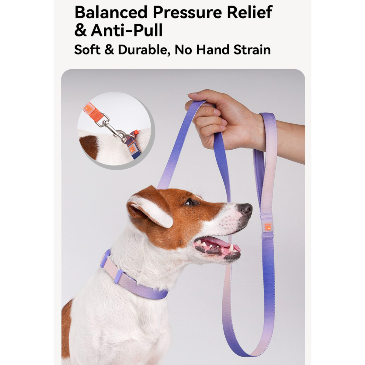 VITALWAVE Dreamfade Dog Collar & Leash Set