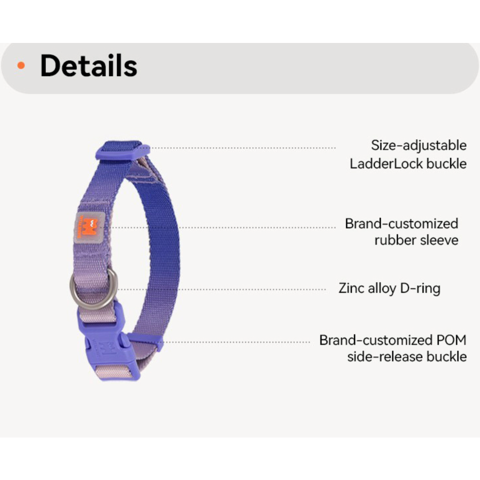 VITALWAVE Dreamfade Dog Collar & Leash Set