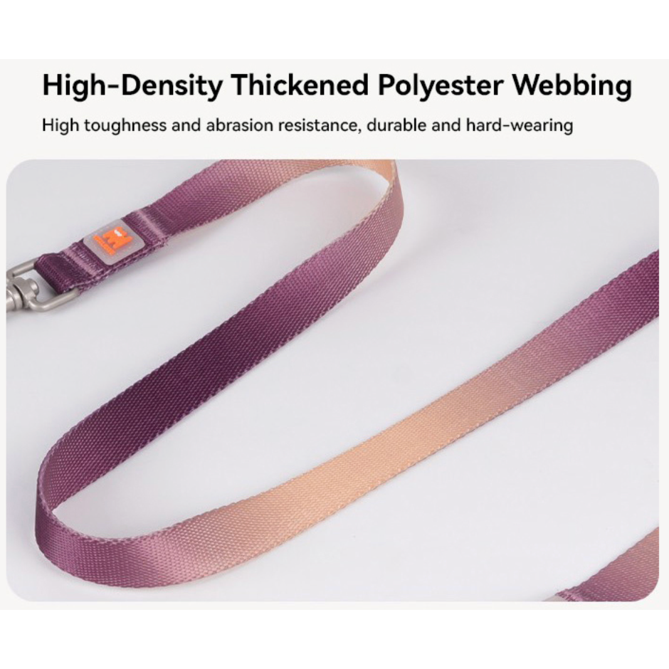 VITALWAVE Dreamfade Dog Collar & Leash Set