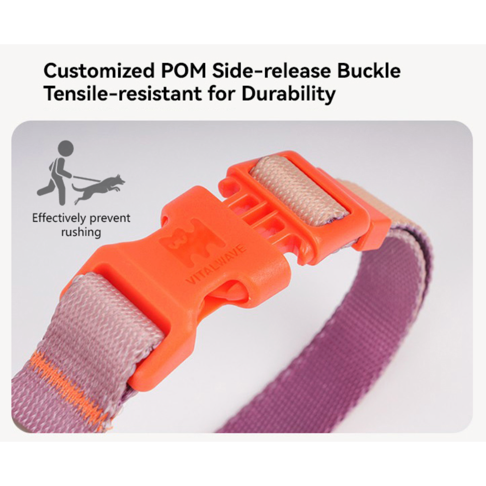 VITALWAVE Dreamfade Dog Collar & Leash Set