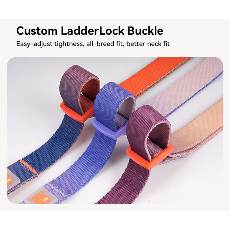 VITALWAVE Dreamfade Dog Collar & Leash Set