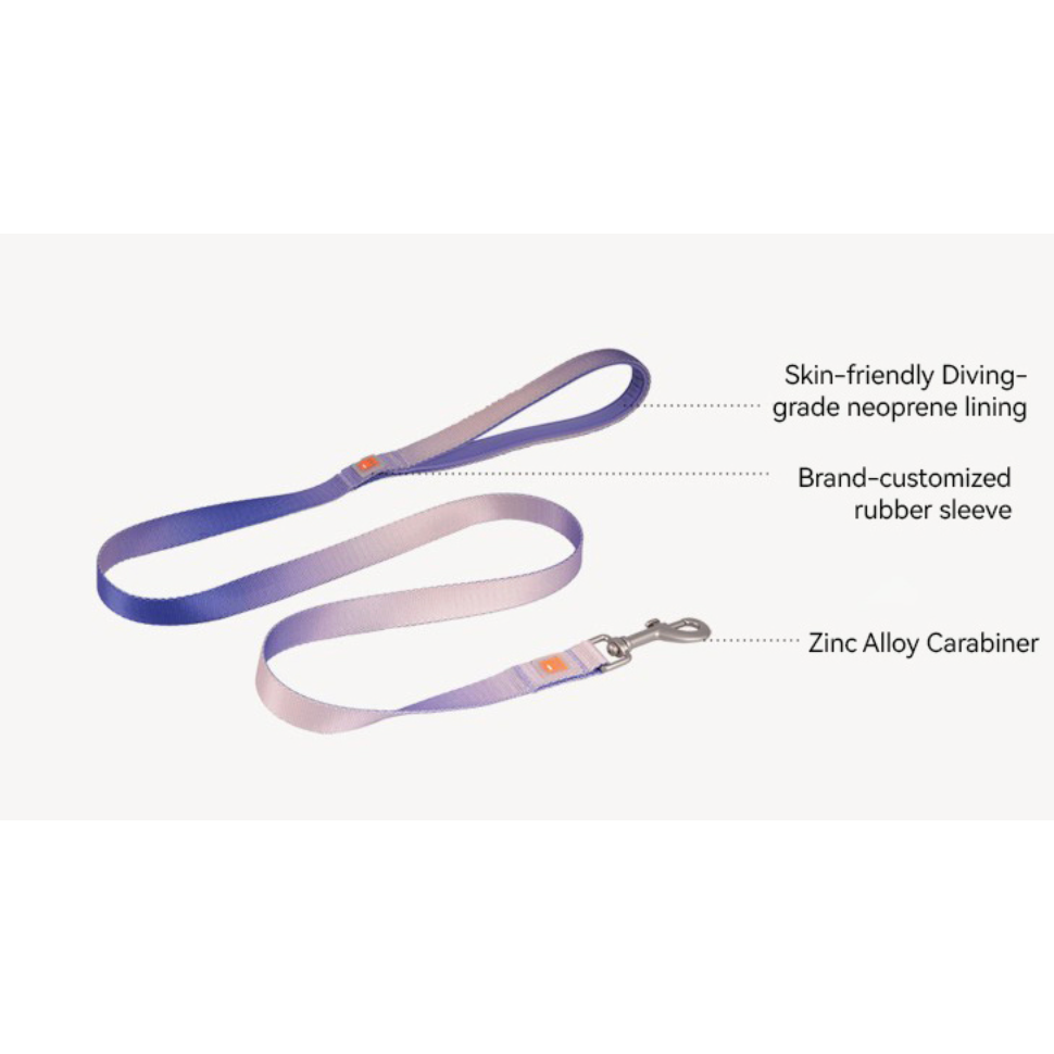 VITALWAVE Dreamfade Dog Collar & Leash Set