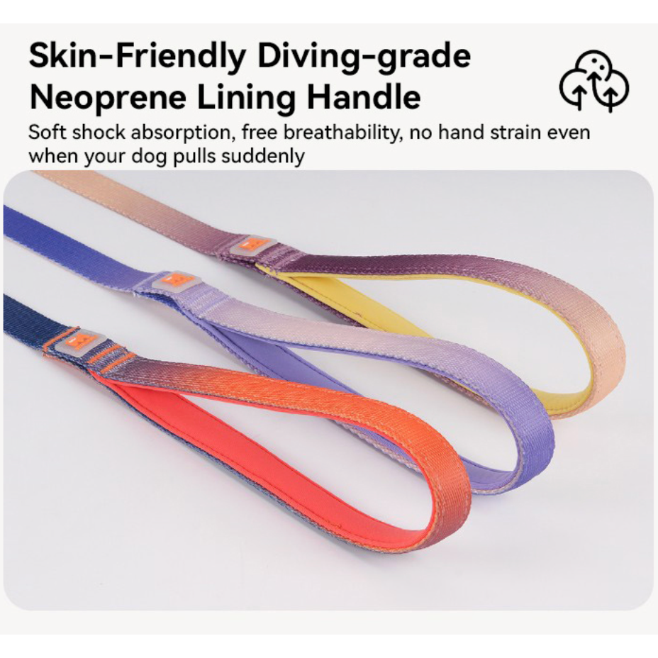 VITALWAVE Dreamfade Dog Collar & Leash Set