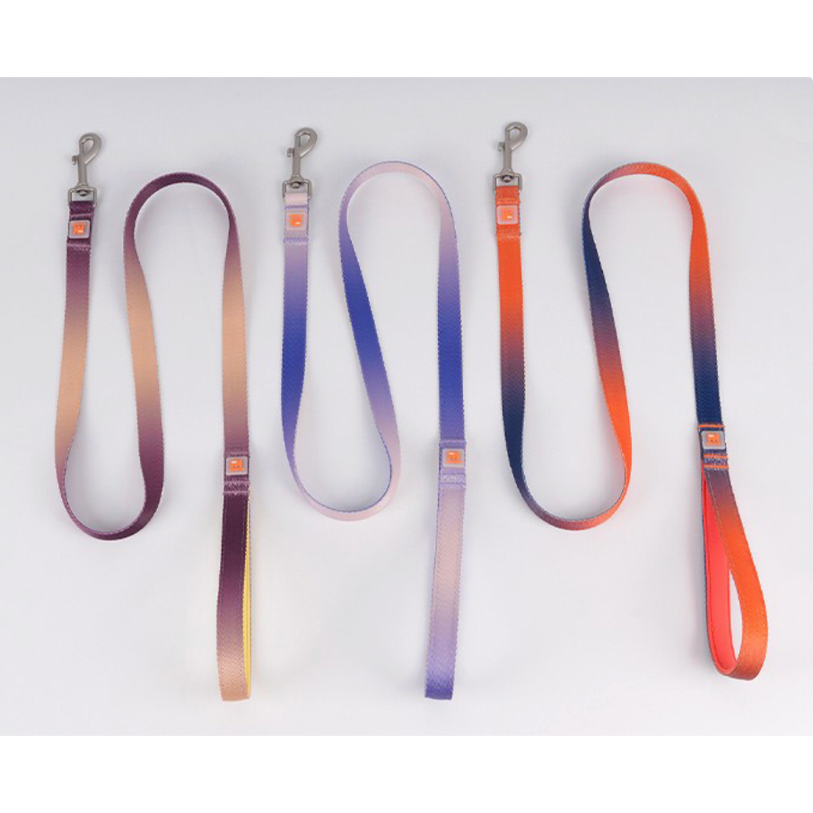 VITALWAVE Dreamfade Dog Collar & Leash Set