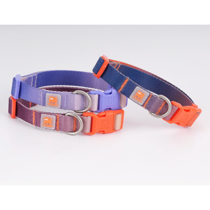 VITALWAVE Dreamfade Dog Collar & Leash Set