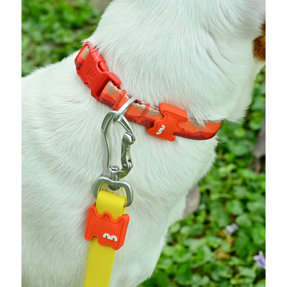 VITALWAVE Gradient Peaks Dog Collar