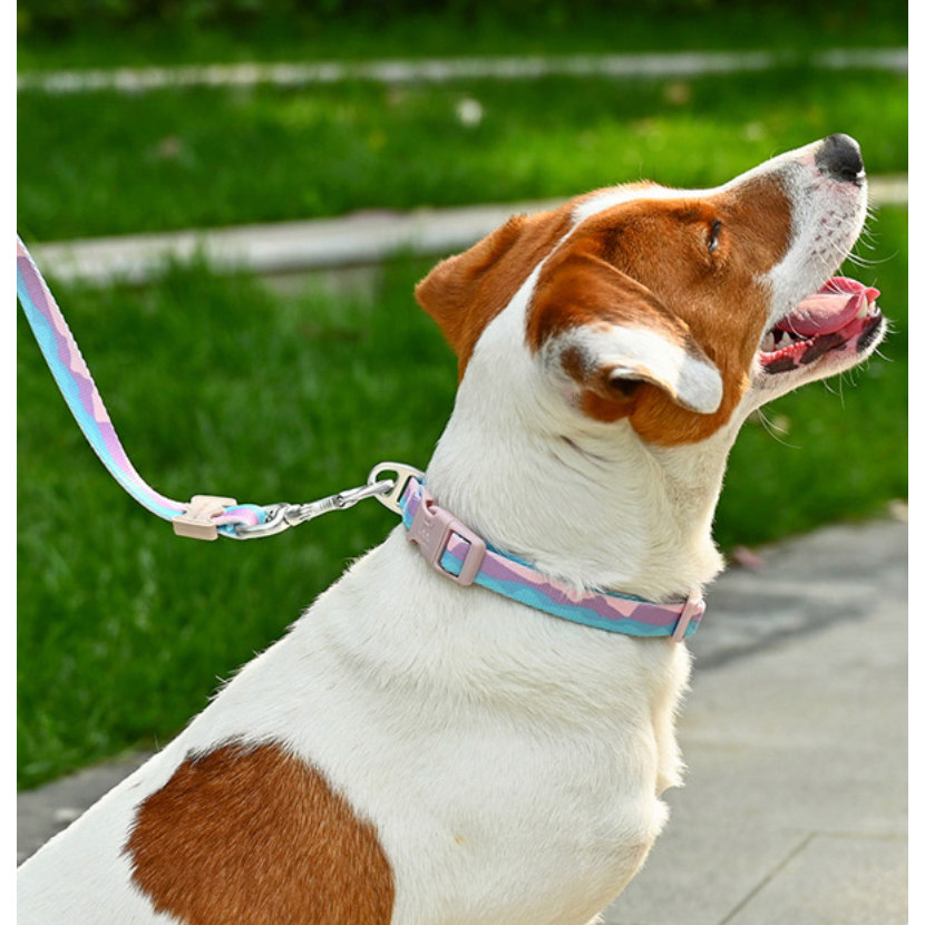VITALWAVE Gradient Peaks Dog Collar