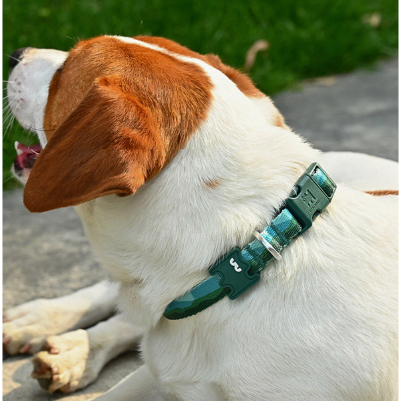 VITALWAVE Gradient Peaks Dog Collar