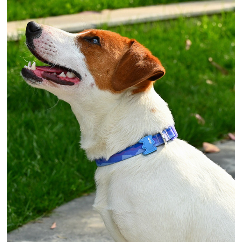 VITALWAVE Gradient Peaks Dog Collar