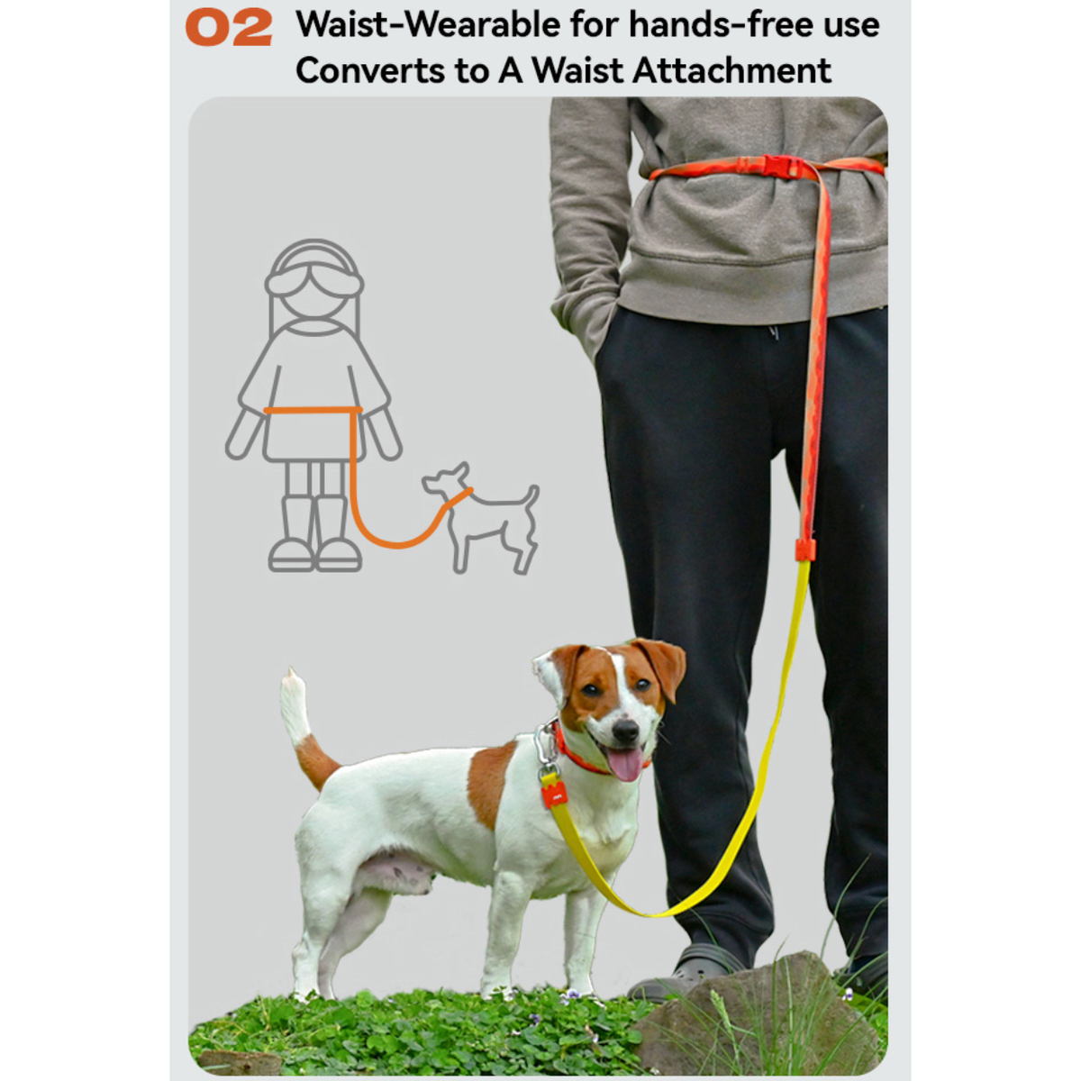 VITALWAVE Tri-Flex Dog Leash