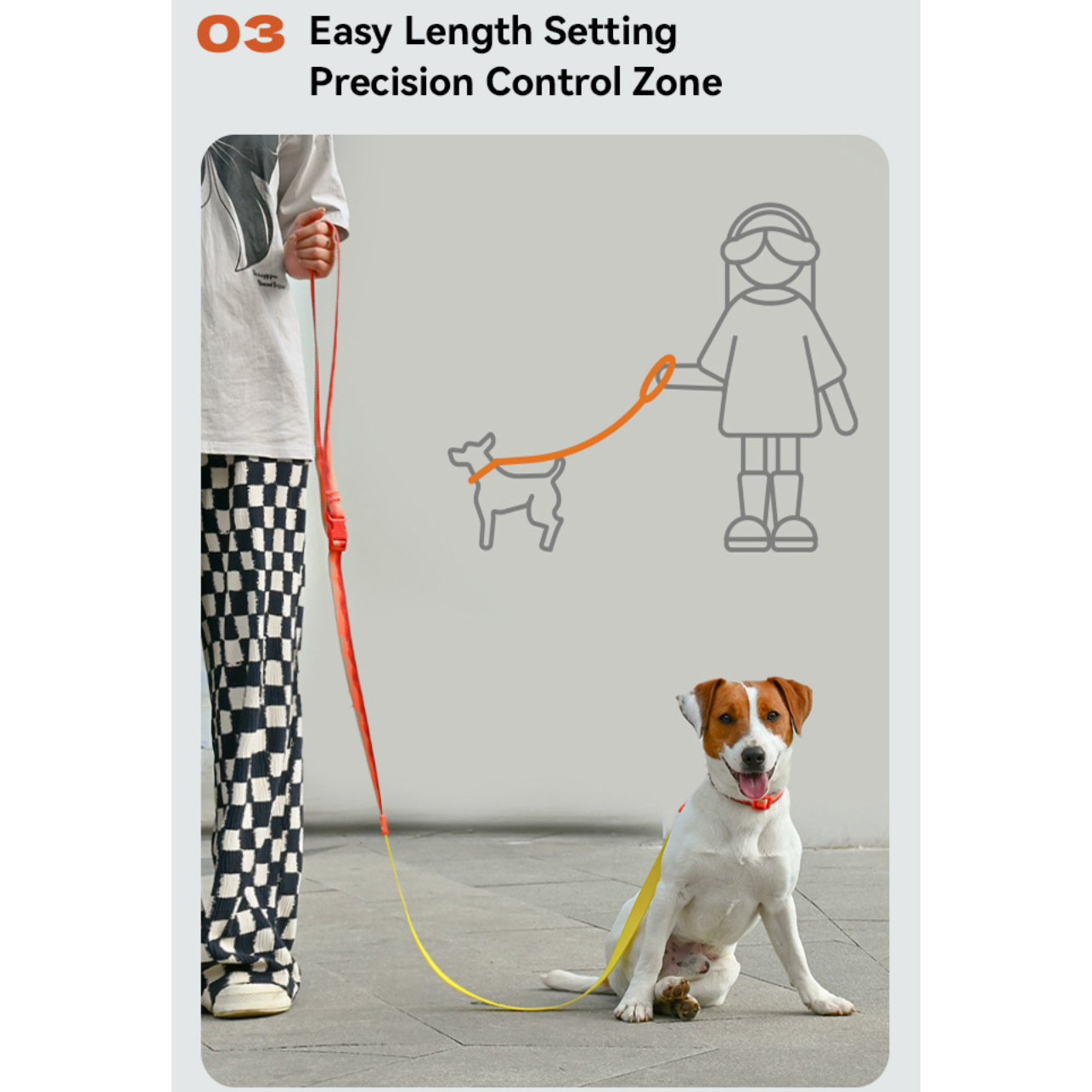 VITALWAVE Tri-Flex Dog Leash