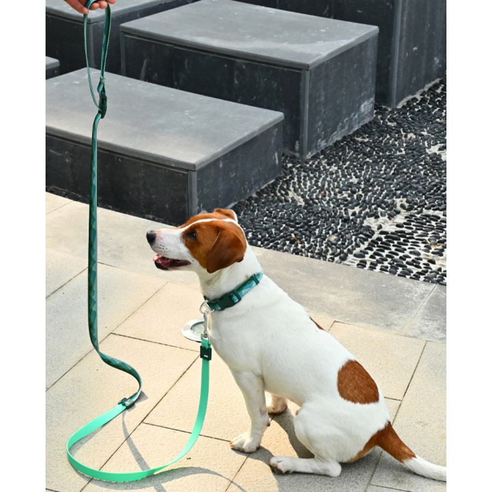 VITALWAVE Tri-Flex Dog Leash
