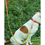 VITALWAVE Tri-Flex Dog Leash