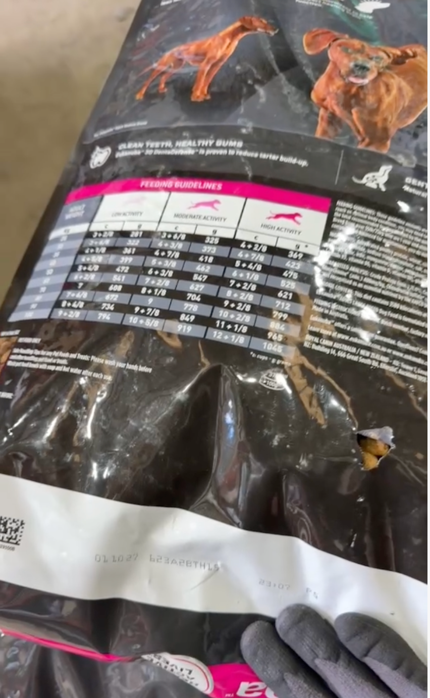 [Packaging Damage] EUKANUBA™ Adult Dog Dry Food Large Breed 15kg