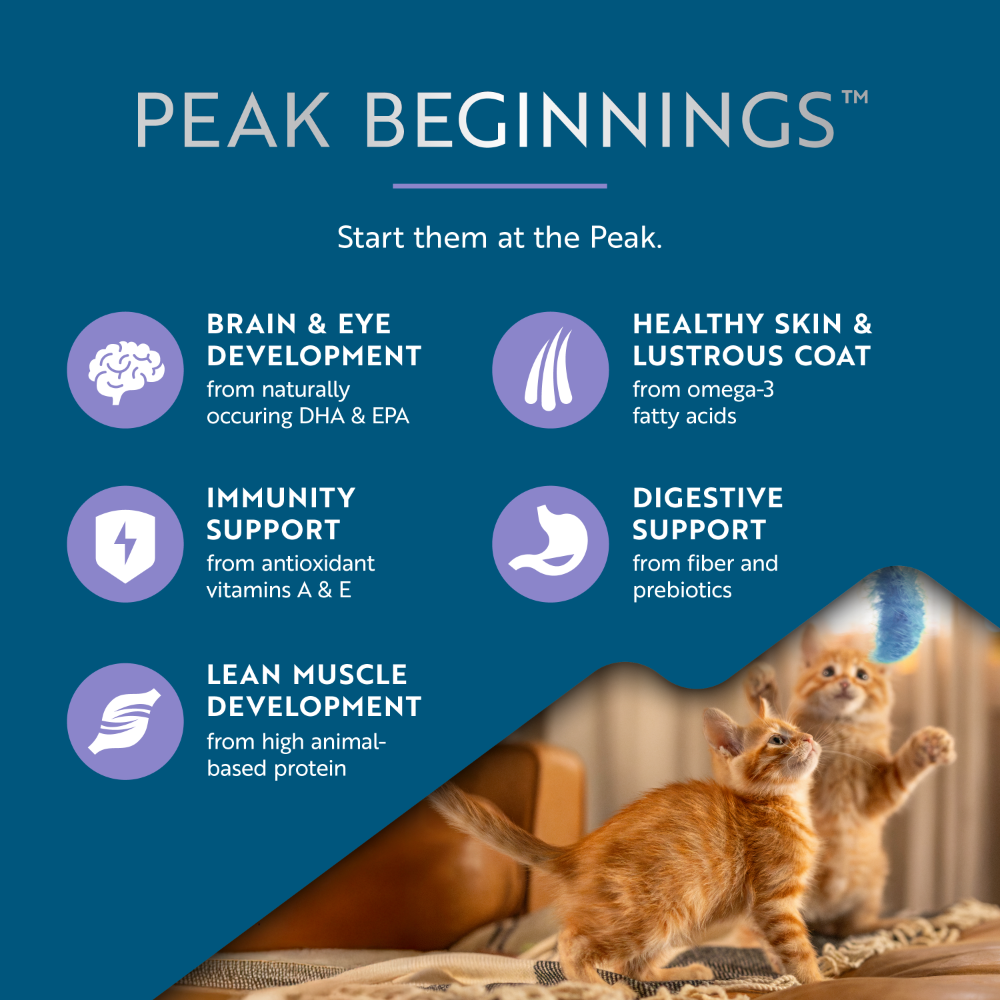 Ziwi Peak Steam & Dried Kitten Food Chicken with Southern Blue Whiting 700g