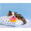 Zippypaws Plush Toys For Dog Donutz – Strawberry
