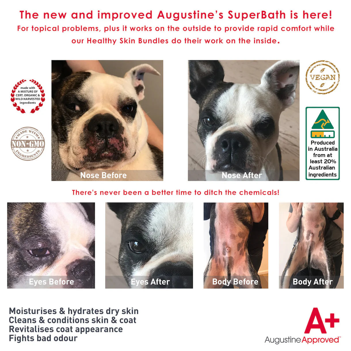 AUGUSTINE APPROVED SuperBath Skin Cleanses Skin & Odour Control for Dogs