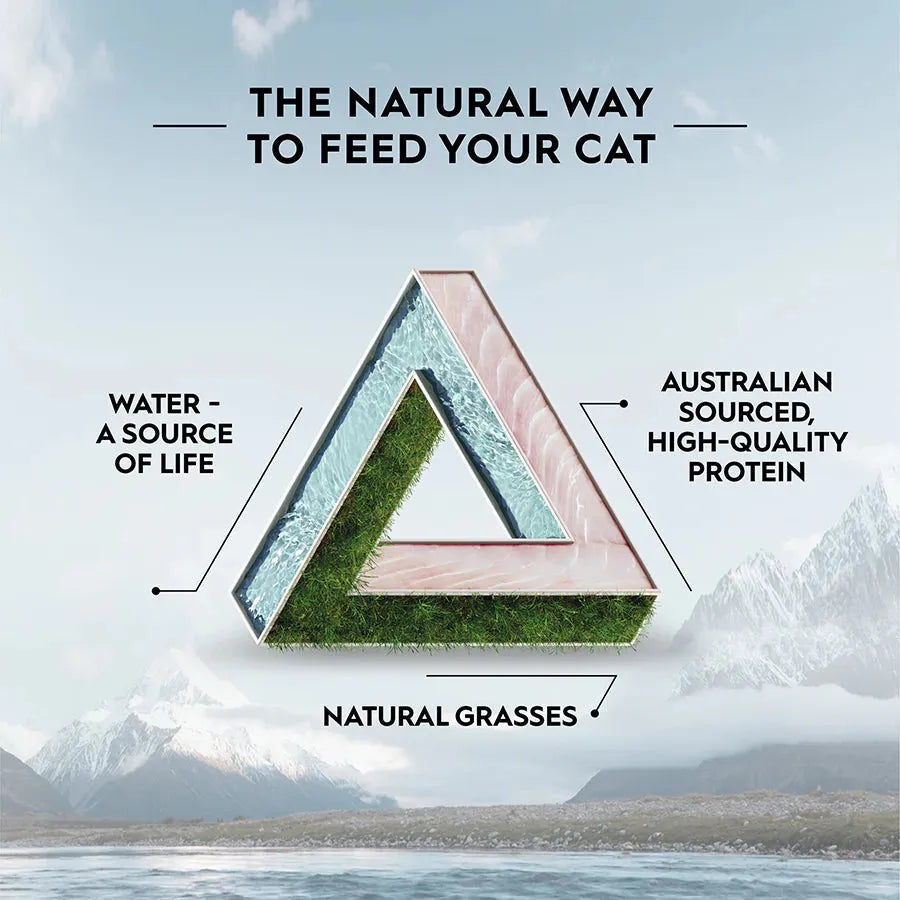 [Tiny Damage on Package] TRILOGY Adult Cat Dry Food - Barramundi 5kg