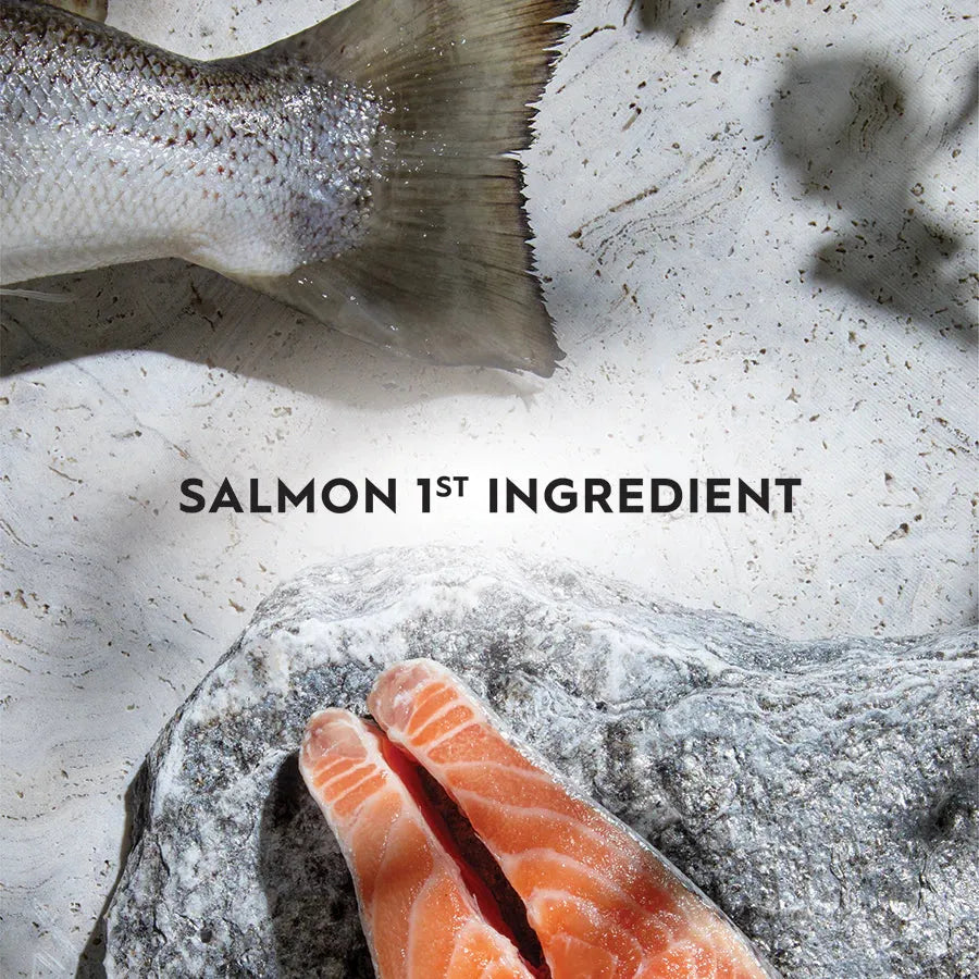TRILOGY Adult Cat Dry Food - AUSTRALIAN SALMON 1.8kg