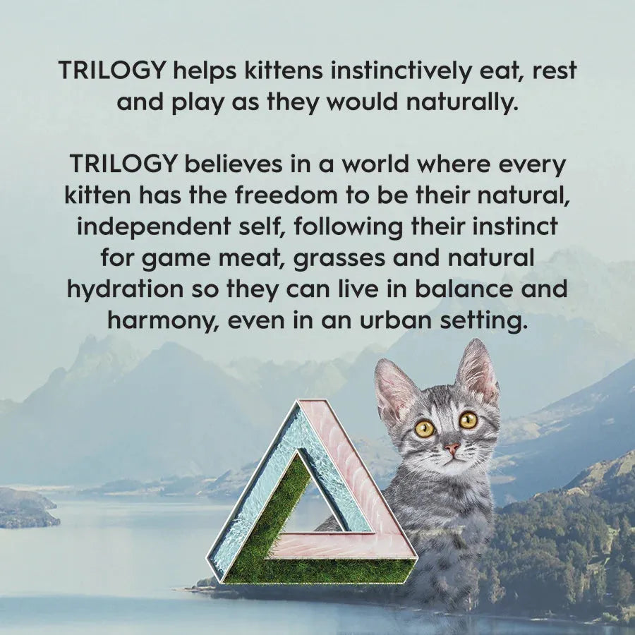 TRILOGY KITTEN Dry Food - BARRAMUNDI WITH TUNA 1.2Kg